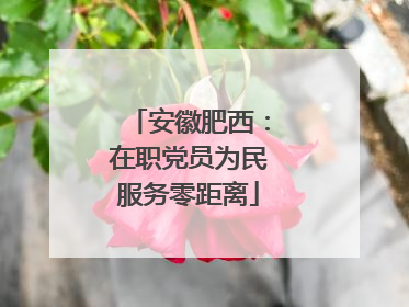 安徽肥西：在职党员为民服务零距离