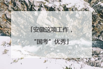 安徽这项工作，“国考”优秀