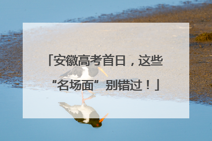 安徽高考首日，这些“名场面”别错过！
