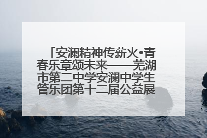 安澜精神传薪火•青春乐章颂未来——芜湖市第二中学安澜中学生管乐团第十二届公益展演圆满举行