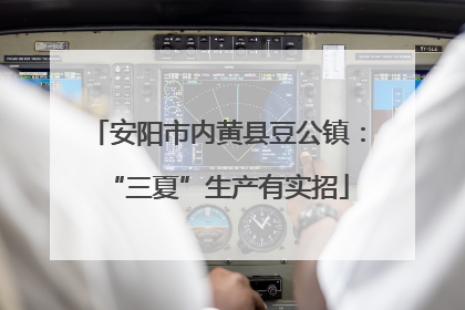 安阳市内黄县豆公镇：“三夏”生产有实招