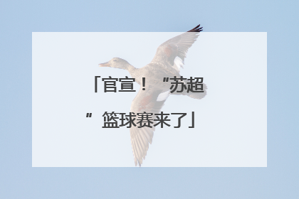 官宣！“苏超”篮球赛来了