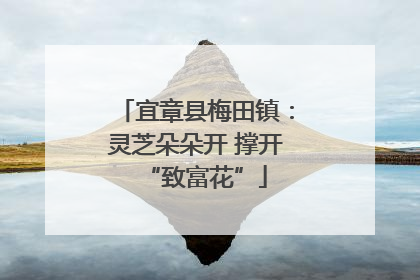宜章县梅田镇：灵芝朵朵开 撑开“致富花”