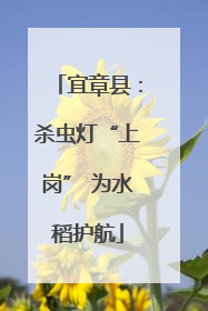 宜章县：杀虫灯“上岗” 为水稻护航