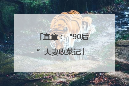 宜章：“90后”夫妻收菜记