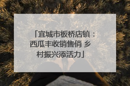 宜城市板桥店镇：西瓜丰收销售俏 乡村振兴添活力