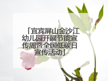 宜宾屏山金沙江幼儿园开展节能宣传周暨全国低碳日宣传活动