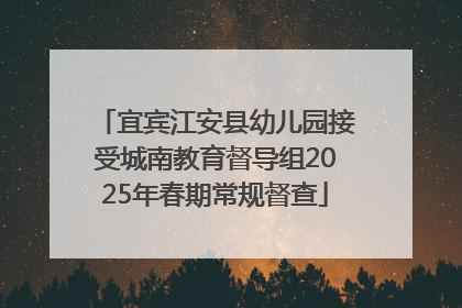 宜宾江安县幼儿园接受城南教育督导组2025年春期常规督查