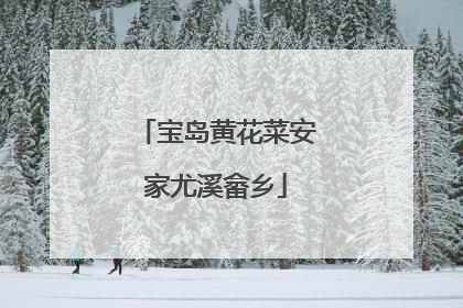 宝岛黄花菜安家尤溪畲乡