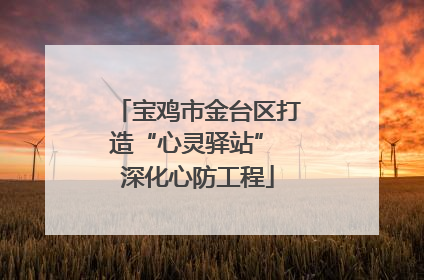 宝鸡市金台区打造“心灵驿站” 深化心防工程