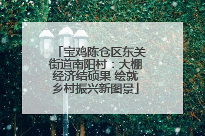 宝鸡陈仓区东关街道南阳村：大棚经济结硕果 绘就乡村振兴新图景