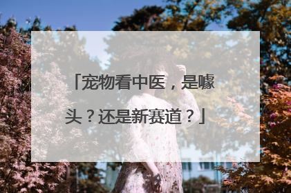宠物看中医，是噱头？还是新赛道？