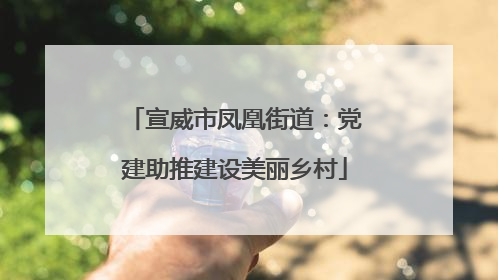宣威市凤凰街道：党建助推建设美丽乡村