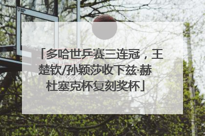 多哈世乒赛三连冠，王楚钦/孙颖莎收下兹·赫杜塞克杯复刻奖杯