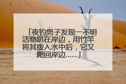 夜钓男子发现一不明活物趴在岸边，用竹竿将其拨入水中后，它又爬回岸边……