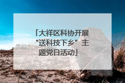 大祥区科协开展“送科技下乡”主题党日活动