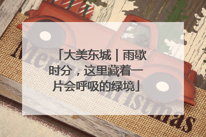 大美东城｜雨歇时分，这里藏着一片会呼吸的绿境