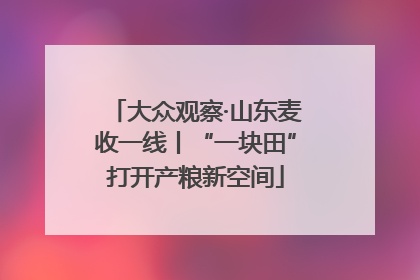 大众观察·山东麦收一线丨“一块田”打开产粮新空间