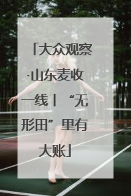 大众观察·山东麦收一线丨“无形田”里有大账