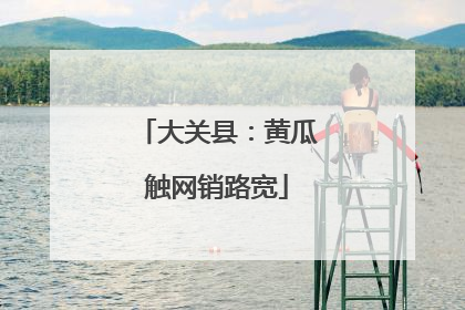 大关县：黄瓜触网销路宽