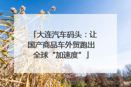 大连汽车码头：让国产商品车外贸跑出全球“加速度”