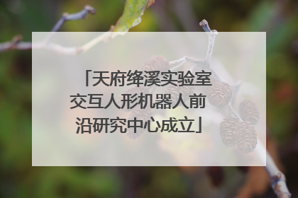 天府绛溪实验室交互人形机器人前沿研究中心成立