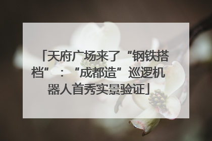 天府广场来了“钢铁搭档”:“成都造”巡逻机器人首秀实景验证