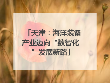 天津：海洋装备产业迈向“数智化”发展新路