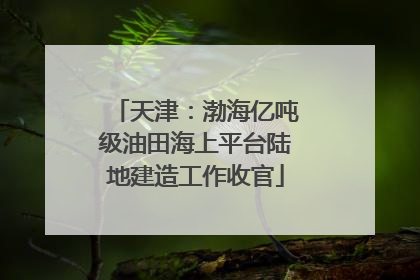 天津：渤海亿吨级油田海上平台陆地建造工作收官