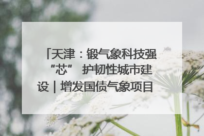 天津：锻气象科技强“芯” 护韧性城市建设｜增发国债气象项目落地见效系列报道