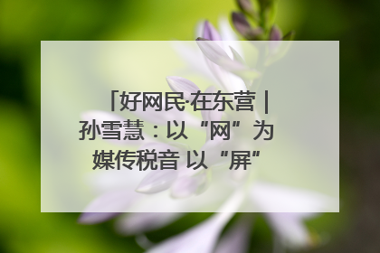 好网民·在东营｜孙雪慧：以“网”为媒传税音 以“屏”为介助发展
