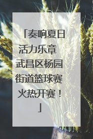 奏响夏日活力乐章 武昌区杨园街道篮球赛火热开赛！