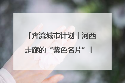 奔流城市计划丨河西走廊的“紫色名片”
