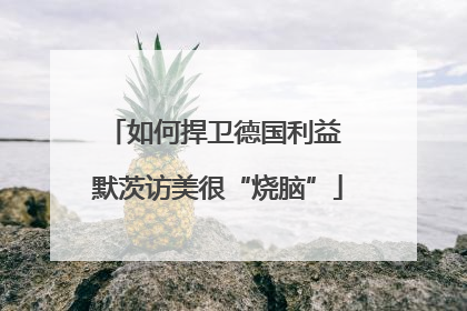 如何捍卫德国利益 默茨访美很“烧脑”
