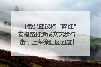 委员建议将“网红”安福路打造成文艺步行街，上海徐汇区回应