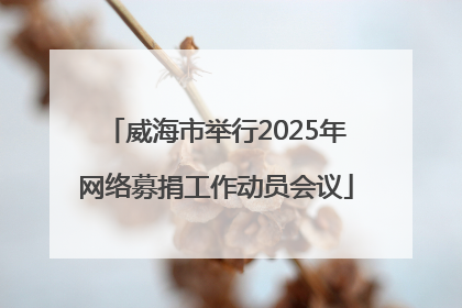 威海市举行2025年网络募捐工作动员会议
