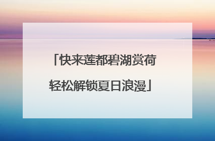 快来莲都碧湖赏荷 轻松解锁夏日浪漫