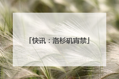 快讯：洛杉矶宵禁
