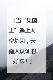 当“果菌王”遇上太空基因，云南人认证的好吃！