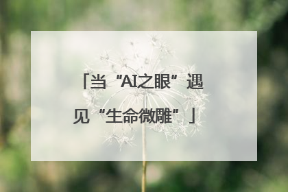 当“AI之眼”遇见“生命微雕”