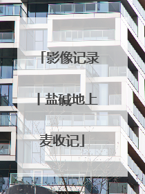 影像记录丨盐碱地上麦收记