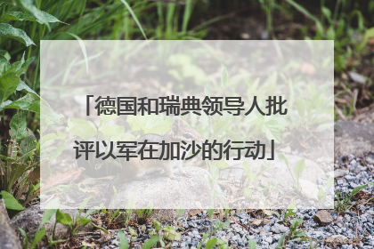 德国和瑞典领导人批评以军在加沙的行动
