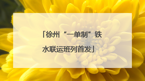 徐州“一单制”铁水联运班列首发
