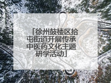 徐州鼓楼区拾屯街道开展传承中医药文化主题研学活动