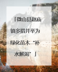 微山县赵庙镇多措并举为绿化苗木“补水解渴”