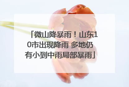 微山降暴雨！山东10市出现降雨 多地仍有小到中雨局部暴雨