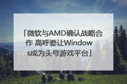 微软与AMD确认战略合作 高呼要让Windows成为头号游戏平台