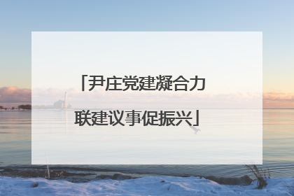 尹庄党建凝合力 联建议事促振兴