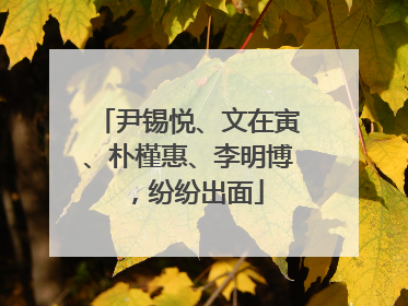 尹锡悦、文在寅、朴槿惠、李明博，纷纷出面