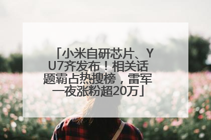 小米自研芯片、YU7齐发布！相关话题霸占热搜榜，雷军一夜涨粉超20万